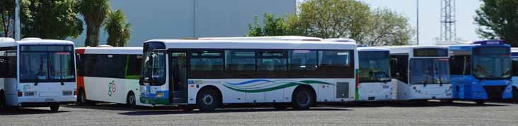 Go Bus Zhong Tong LCK6910G 502 & Dennis Dart Custom 3198